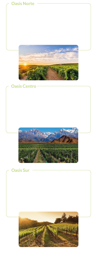 Oasis